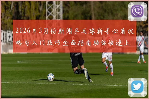 2026年3月份新闻乒乓球新手必看攻略与入门技巧全面指南助你快速上手