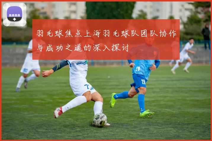 羽毛球焦点上海羽毛球队团队协作与成功之道的深入探讨