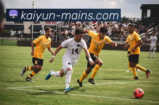 App Interface Preview